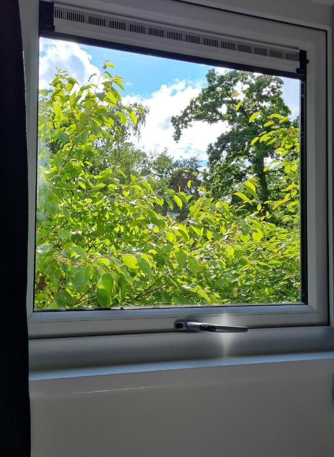 Lodge Goudvink Nunspeet Veluwe מראה חיצוני תמונה