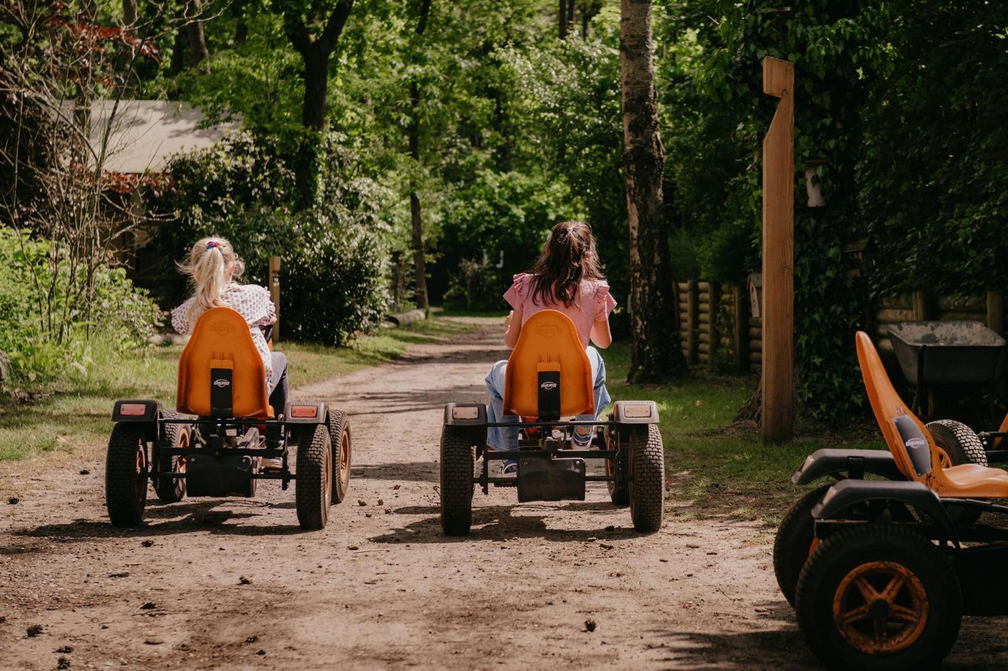 Lodge Goudvink Nunspeet Veluwe מראה חיצוני תמונה