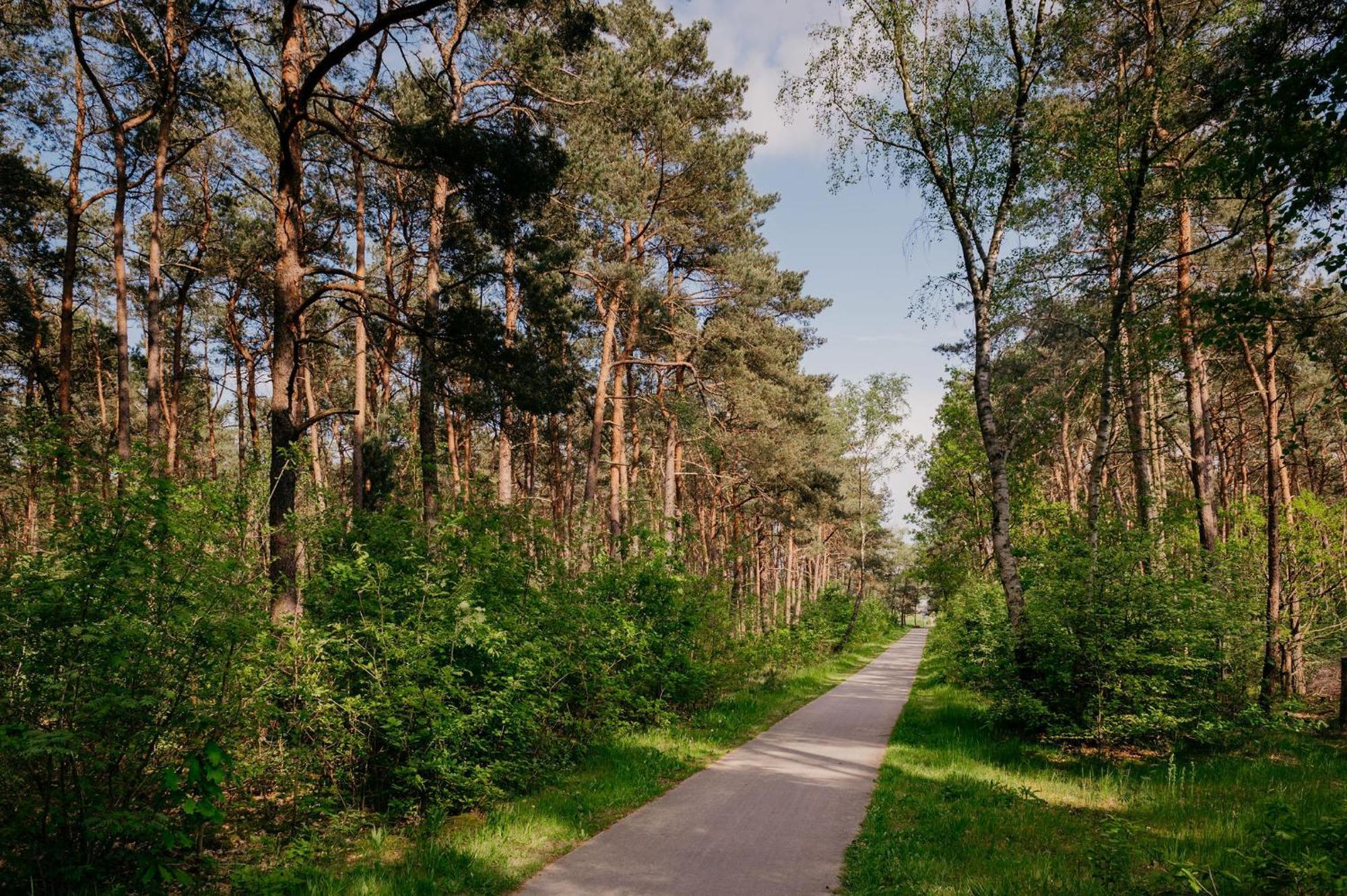 Lodge Goudvink Nunspeet Veluwe מראה חיצוני תמונה
